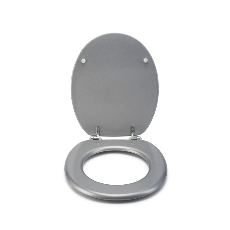 Croydex Quartz Round Standard Toilet Seat & Reviews Wayfair.co.uk